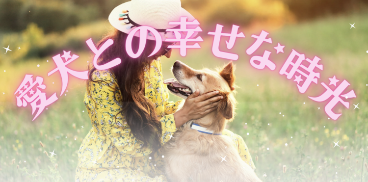 カワイイがいっぱい！ワンダーランド